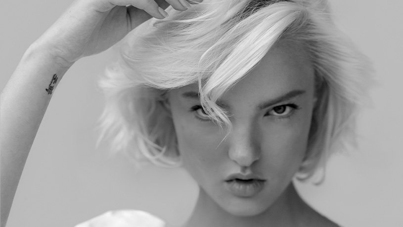 Blond Absolu Serie Photo Album Image
