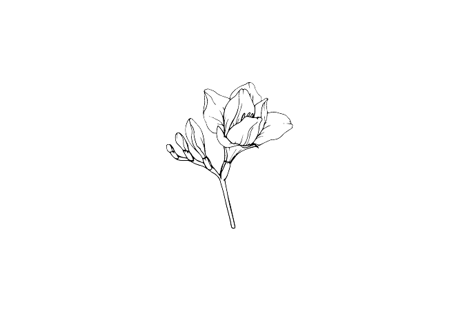 Top Notes Icon